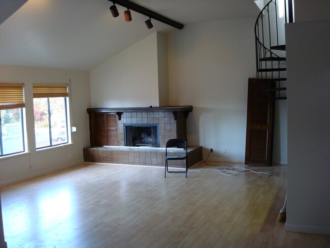 Living Area with gas fireplace - 732 Lake Terrace Cir