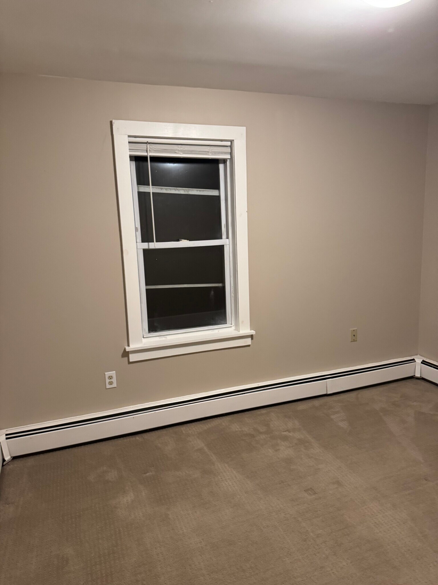 Building Photo - 24 Margaret St