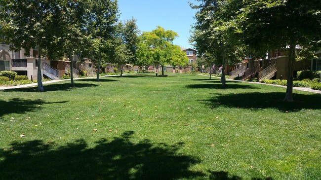 Building Photo - 10147 Star Magnolia Ln