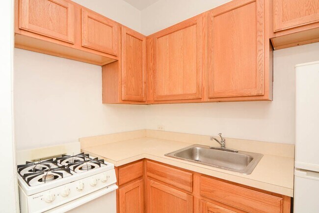 Building Photo - 1023 N Dearborn St