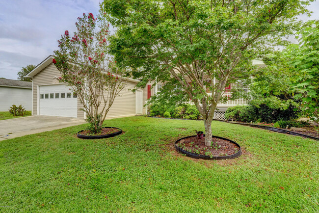 Building Photo - 428 Capeside Dr