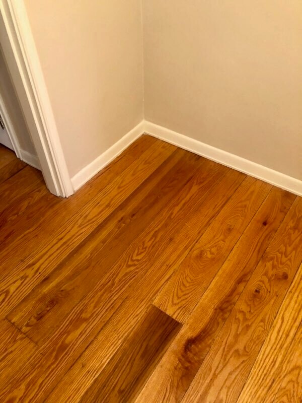 Building Photo - 117 Fairfax Ave