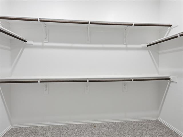 Building Photo - 624 Pawprint Holw