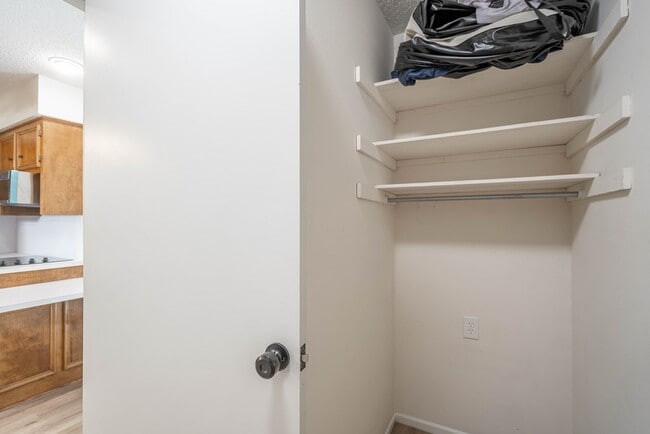 Building Photo - 1523 Doe Ln