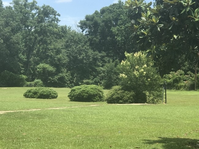 Building Photo - Magnolia Place Apartments