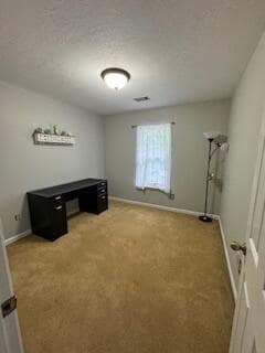 Building Photo - 217 Sarah Creek Ct