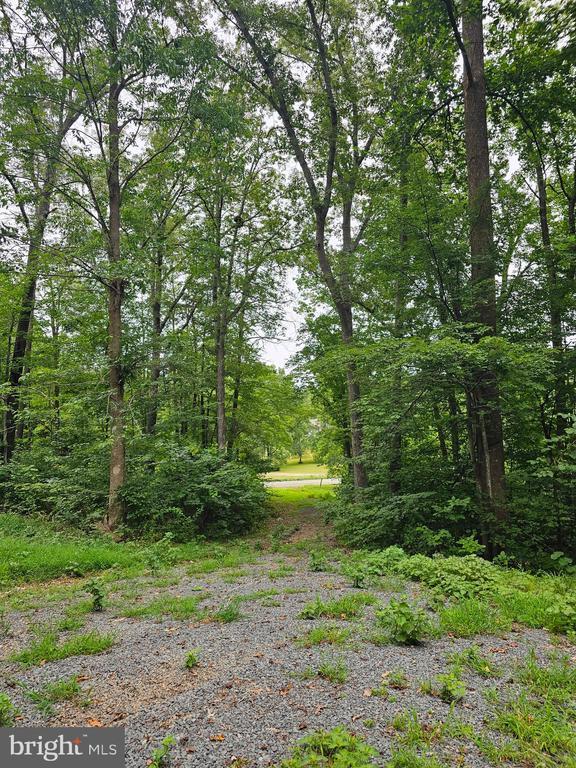 Building Photo - 133 Meadows Rd