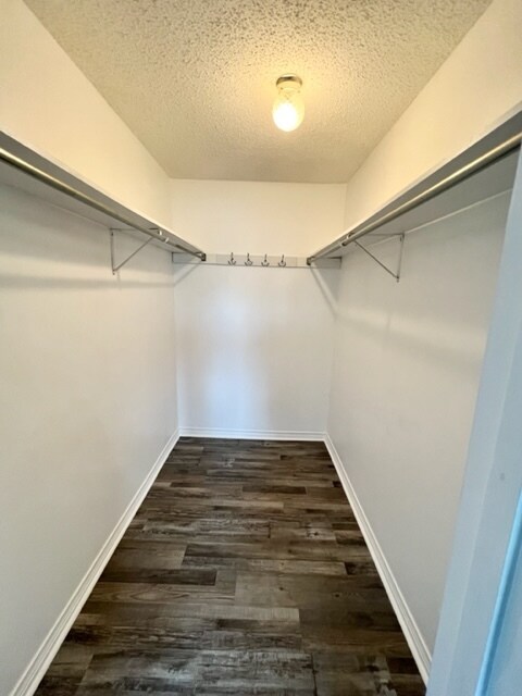 Building Photo - 2532 Misty Meadows Dr