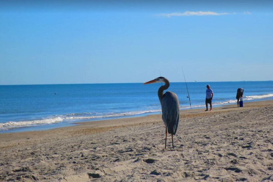 Beach - Ormond by the Sea - 1415 Ocean Shore Blvd