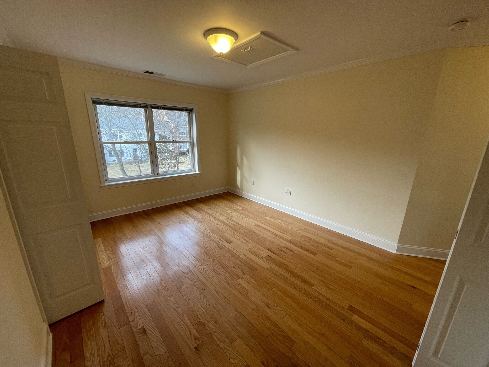 Building Photo - 203 Paine Ct
