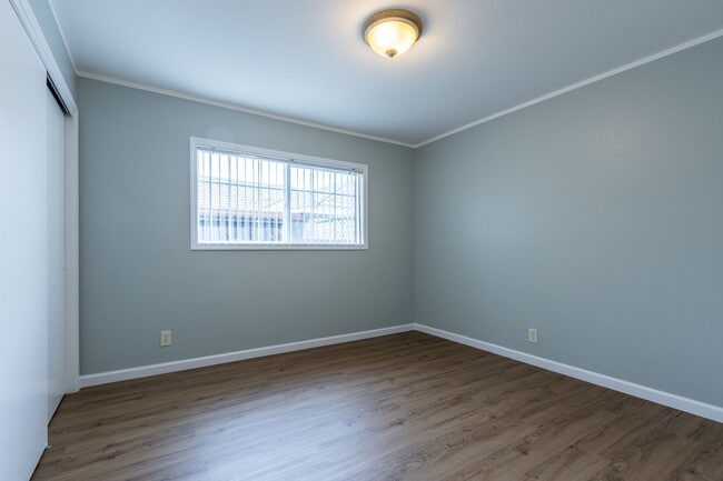 Building Photo - Beautiful & bright 3 bed / 2 Bath San Brun...