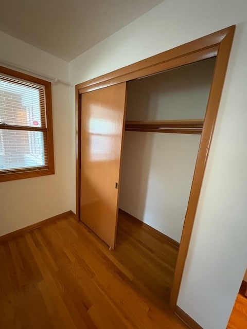 Bedroom 1 Closet - 131 Lincoln Ave