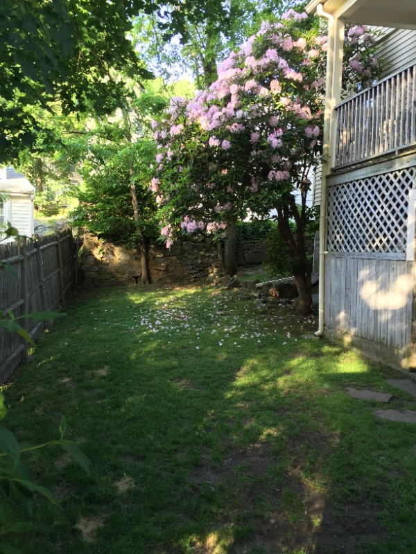 Building Photo - 25 Richie Rd