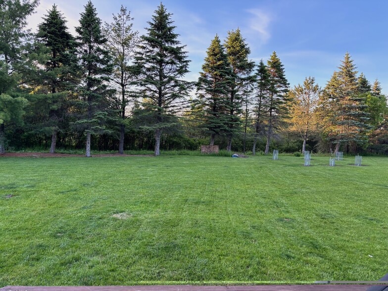 Yard - 49 Bower St