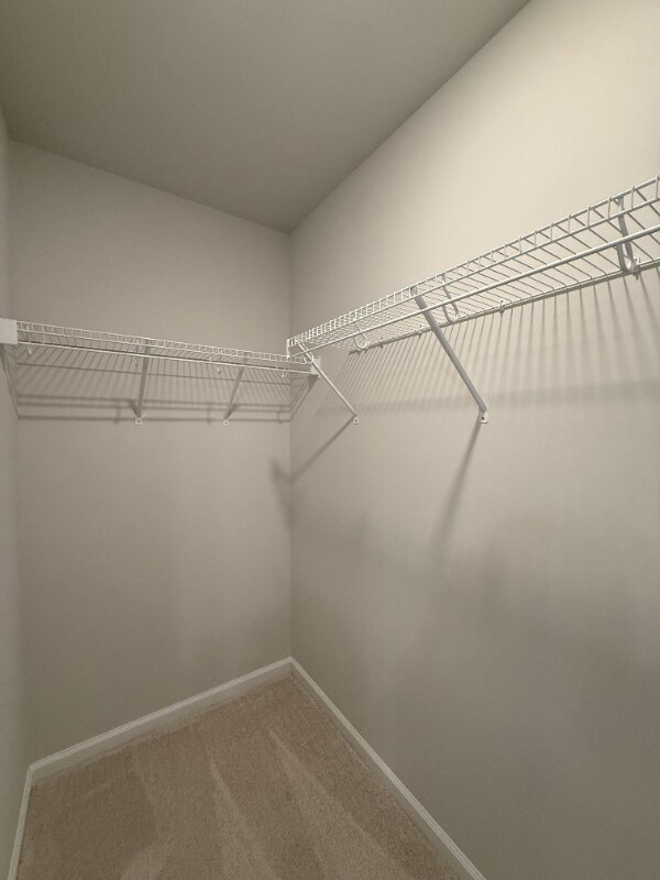 Building Photo - 308 Carolina Spgs Blvd