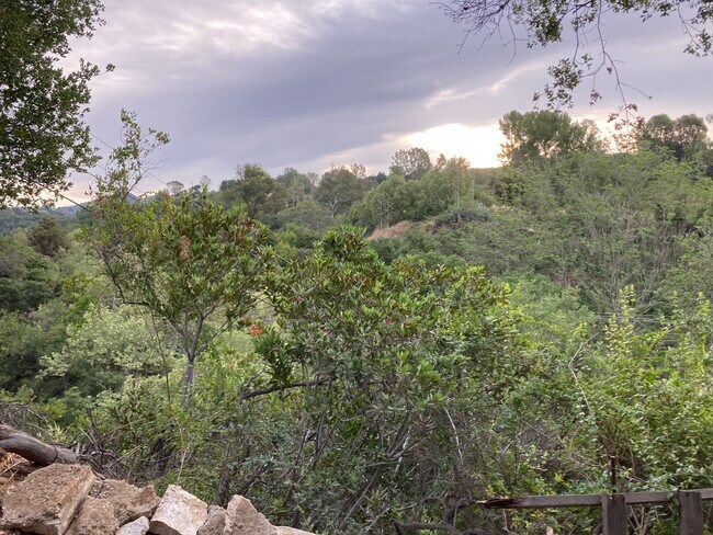 View from unit into Topanga State Park - 21621 Circle Trl