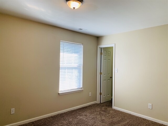 Building Photo - 3941 Tyler Bluff Ln
