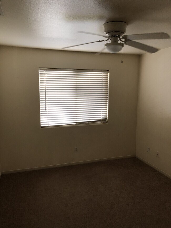 Building Photo - 1281 Mt Brewer Ct