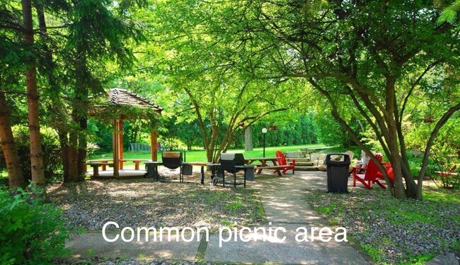 Building Photo - 255 Elmwood Ave