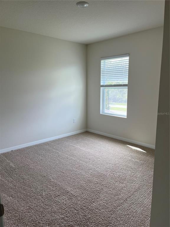 Building Photo - 5351 Timberland Ave