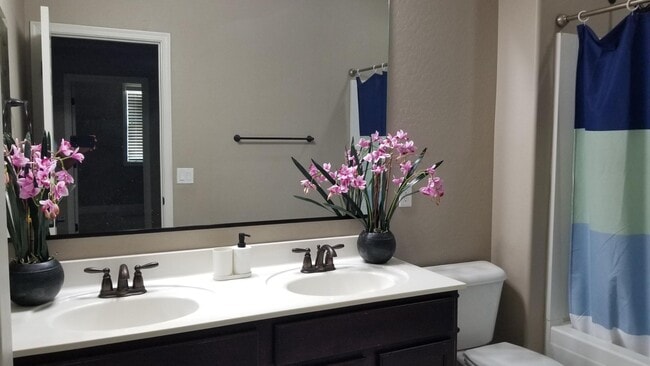 Building Photo - 2248 E Ottawa Ln