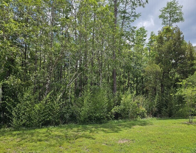 Building Photo - Beautiful 4/2 Home in Palm Coast Screened ...