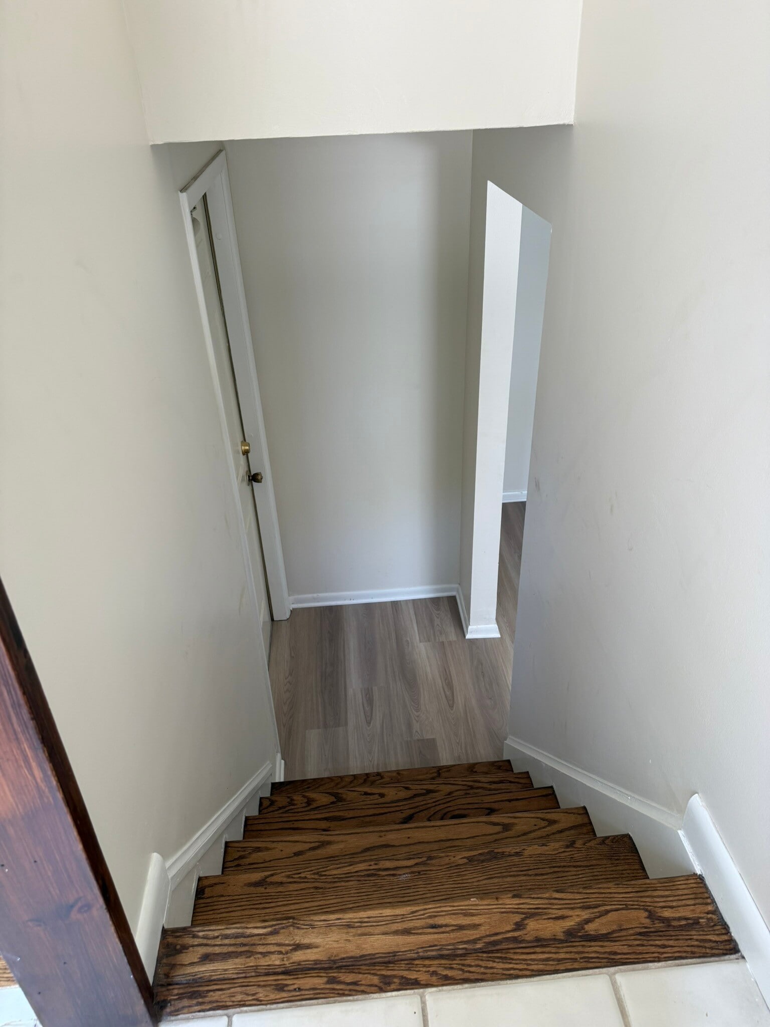 Lower level - 38 Nursery St