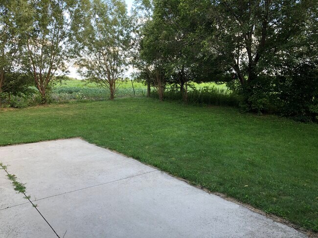 Yard - 2537 Deerfield Dr