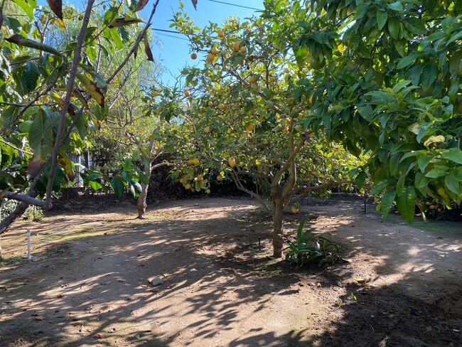 Building Photo - FULLY FURNISHED Point Loma Home! AC! All U...