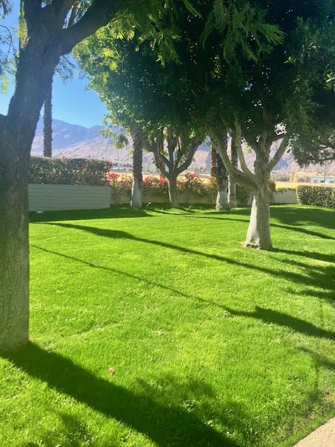 Building Photo - Chic Palm Springs Condo with Modern Granite Touches – Cozy 1 Bed, 1 Bath Retreat!