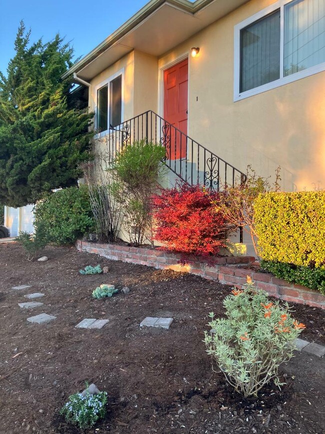 Building Photo - 708 Liberty St