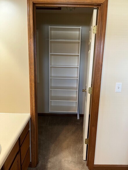 Master BR Walk-in Closet - 2928 E Buckskin Dr