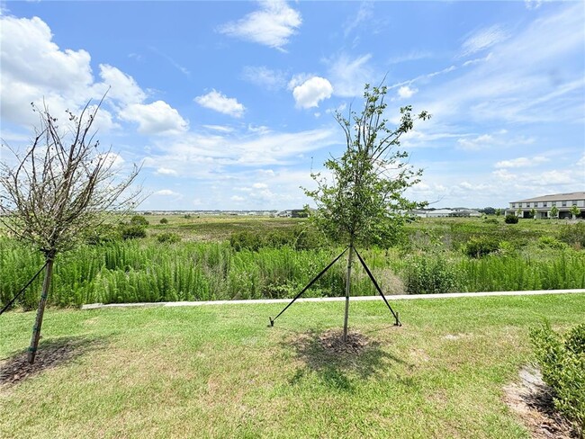 Building Photo - 32121 Powderpuff Mimosa Dr