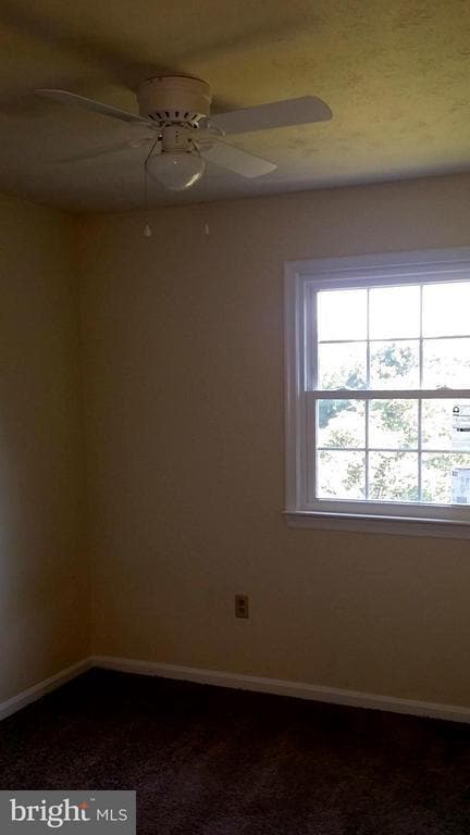 Building Photo - 203 Ash Hollow Dr