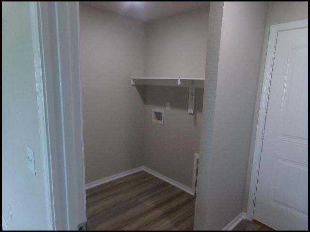 Building Photo - 5009 Windflower Cv