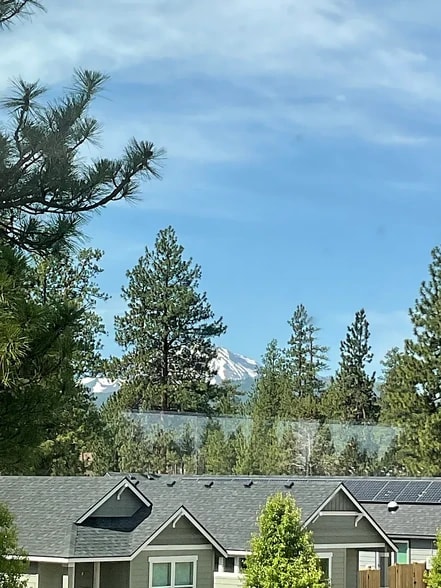 View From Master Suite - 616 N Willitts St