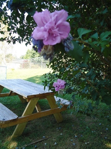 Building Photo - Nottingham North Apartments