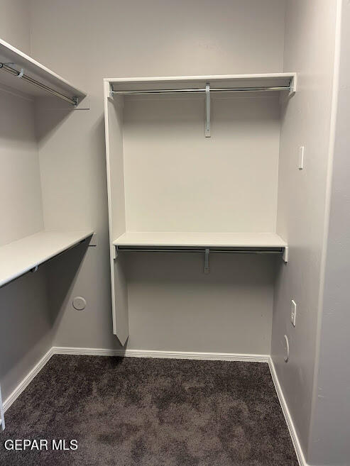 Building Photo - 1144 Morton Pl