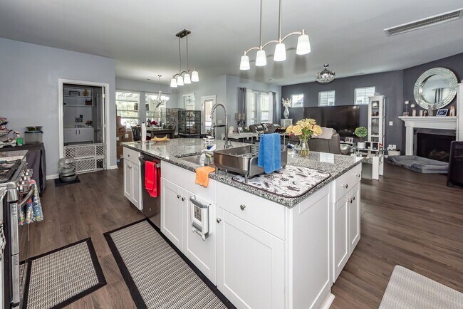 Building Photo - 4 Bedroom, 3.5 Bathroom Home in Summers Co...