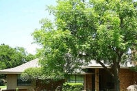 Building Photo - 1409 Carriage Ln