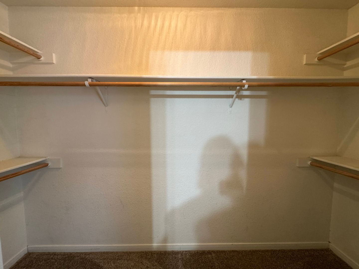 Building Photo - 311 Cedar Ridge Dr