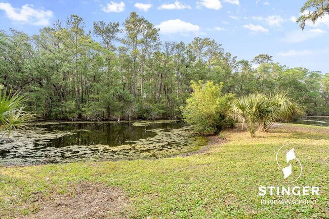 Building Photo - 40 Canopy Ln