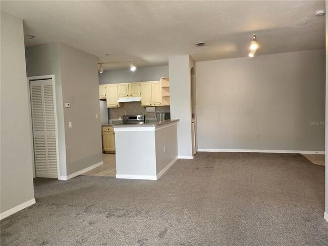 Building Photo - 1325 Lake Shadow Cir