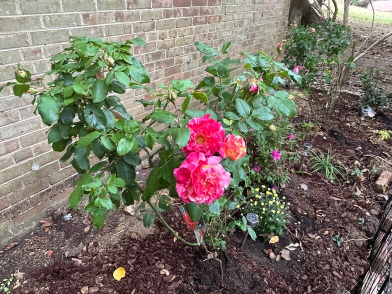 Building Photo - 10506 Weymouth St