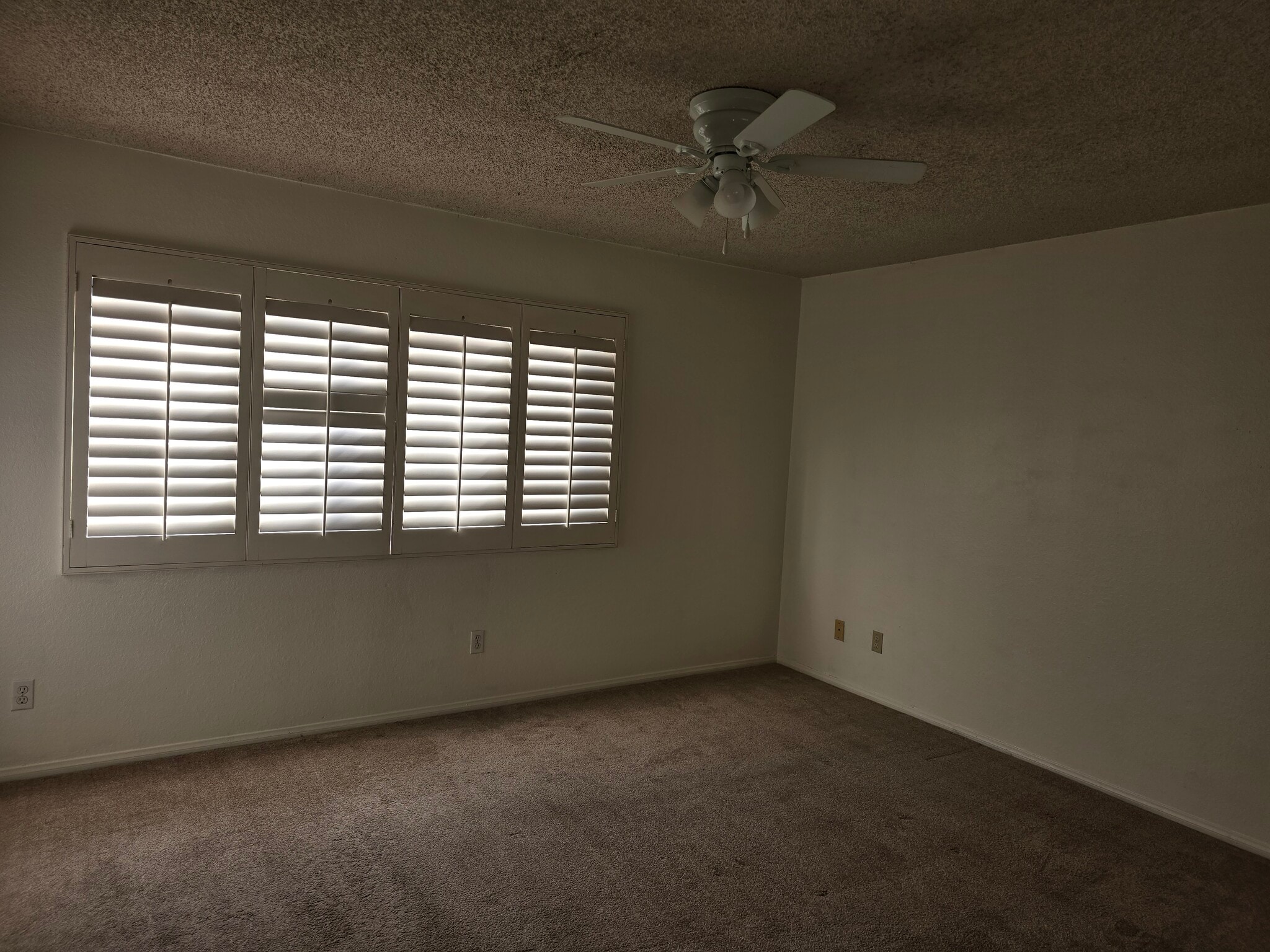 Building Photo - 1018 Langhorn St