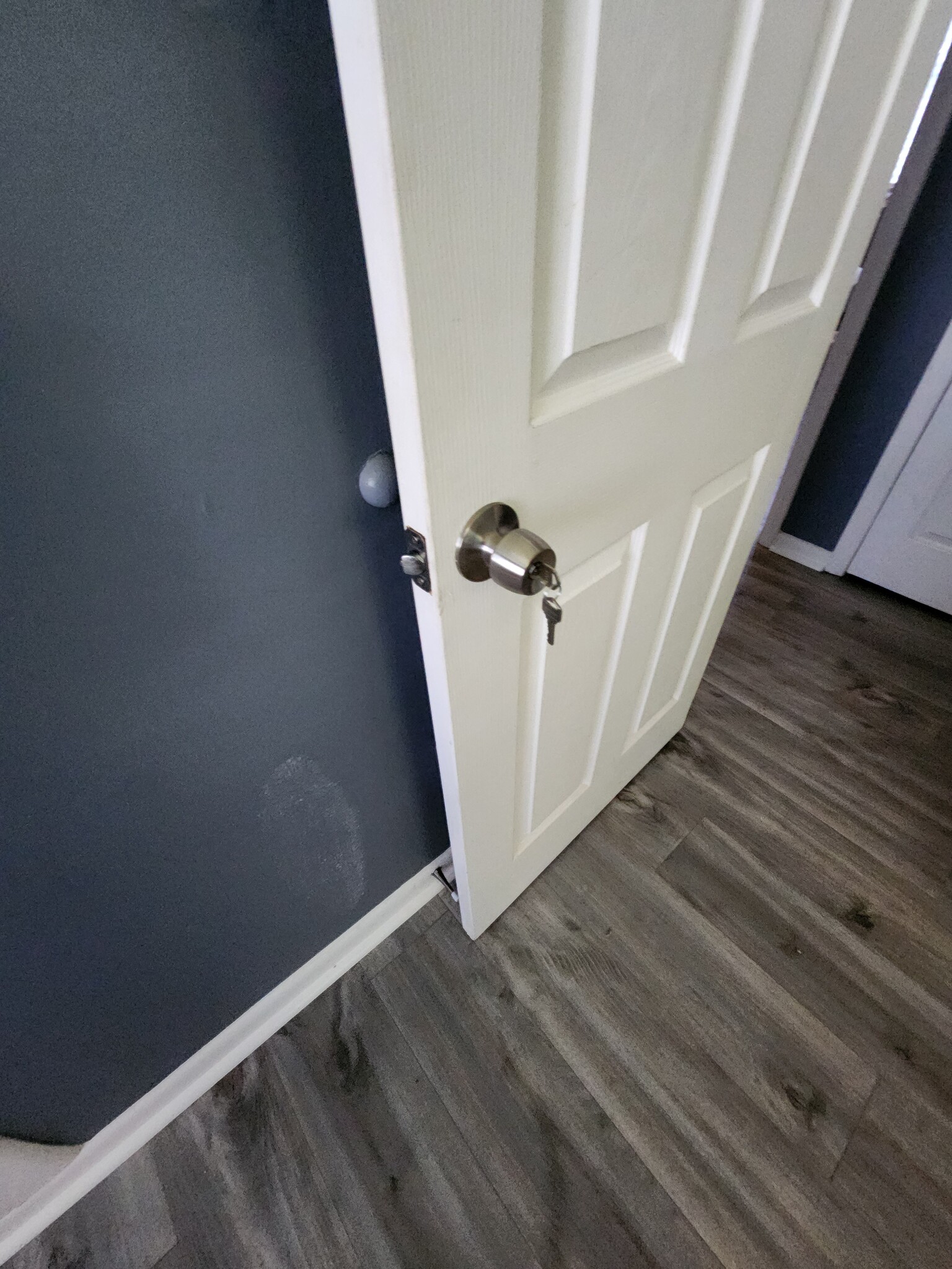 key lock with door plate and sliding inner door lock for added security - 8917 Loughran Terrace