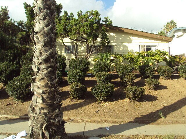 Primary Photo - 328