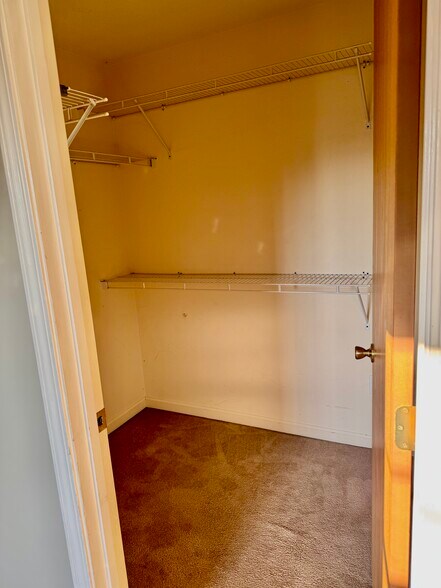 Closet - 3 Frankie Ln