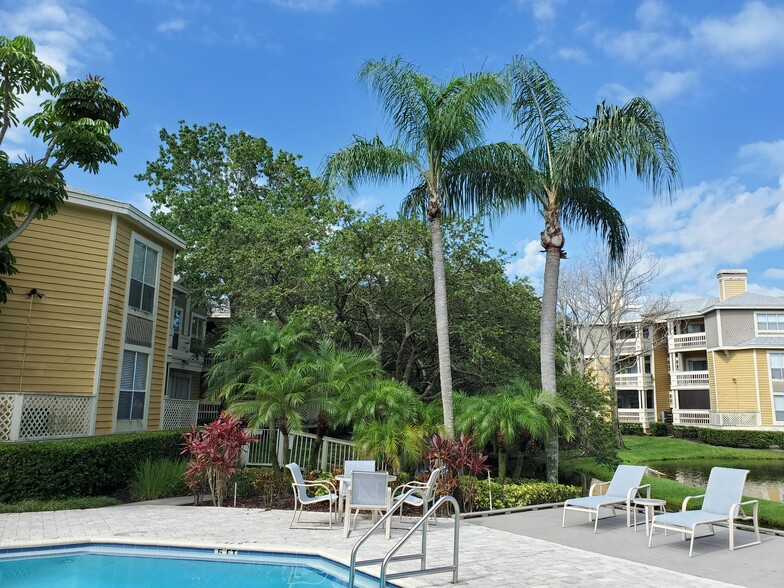 Tropical landscaping - 115 112th Ave NE
