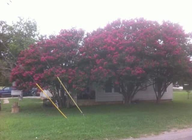 Building Photo - 602 3rd St